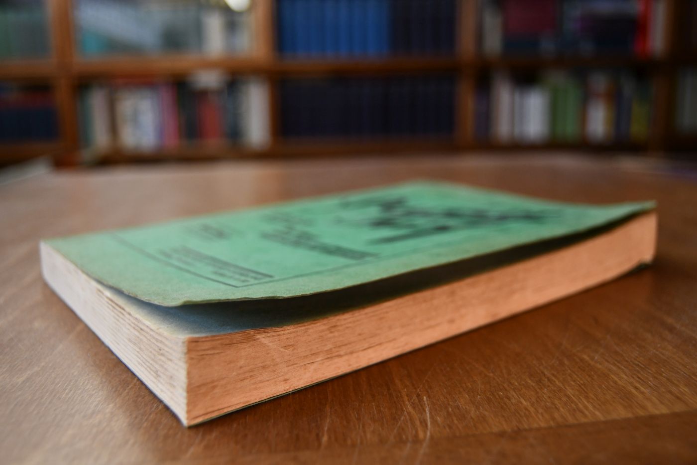 Pariser Turf. Ein Führer durch Zucht und Rennsport Frankreichs und Englands. Ausgabe 1933.
