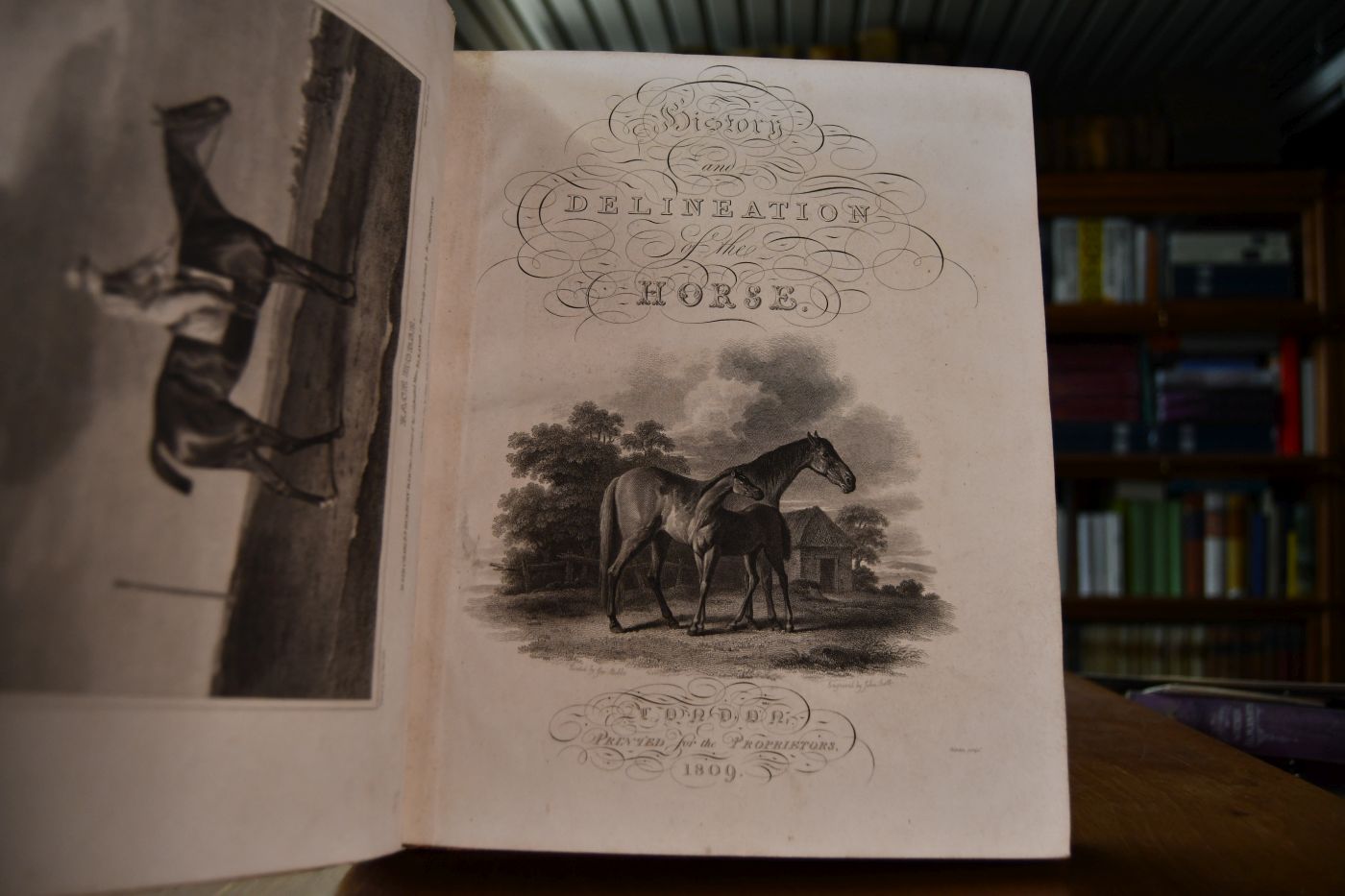 The History and Delineation of the Horse, in All his Varieties. Comprehending the Appropriate Uses, Management, and Progressive Improvement of Each; with a Particular Investigation of the Character of the Race-Horse, and the Business of the Turf. Illustrated by Anecdotes and Biographical Notices of Distinguished Sportsmen. With Instructions for Breeding, Breaking, Training, and the General Management of the Horse, Both in a State of Health and Disease.