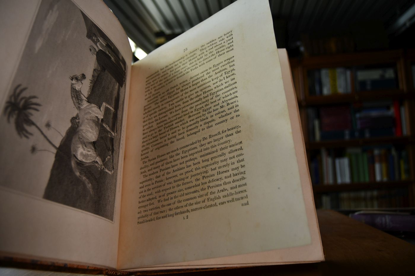 The History and Delineation of the Horse, in All his Varieties. Comprehending the Appropriate Uses, Management, and Progressive Improvement of Each; with a Particular Investigation of the Character of the Race-Horse, and the Business of the Turf. Illustrated by Anecdotes and Biographical Notices of Distinguished Sportsmen. With Instructions for Breeding, Breaking, Training, and the General Management of the Horse, Both in a State of Health and Disease.