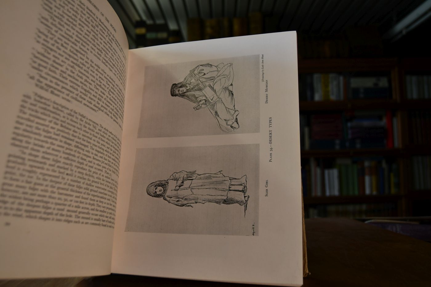 The authentic Arabian Horse and his Descendants. Three voices concerning the horses of Arabia. Tradition (Nejd, Inner East), Romantic Fable (Islam), The Outside World of the West.