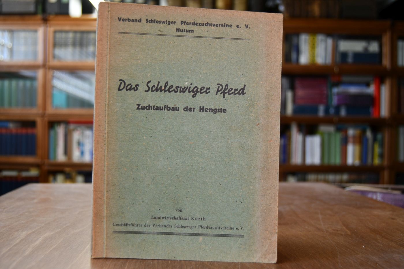 Das Schleswiger Pferd. Zuchtaufbau der Hengste.