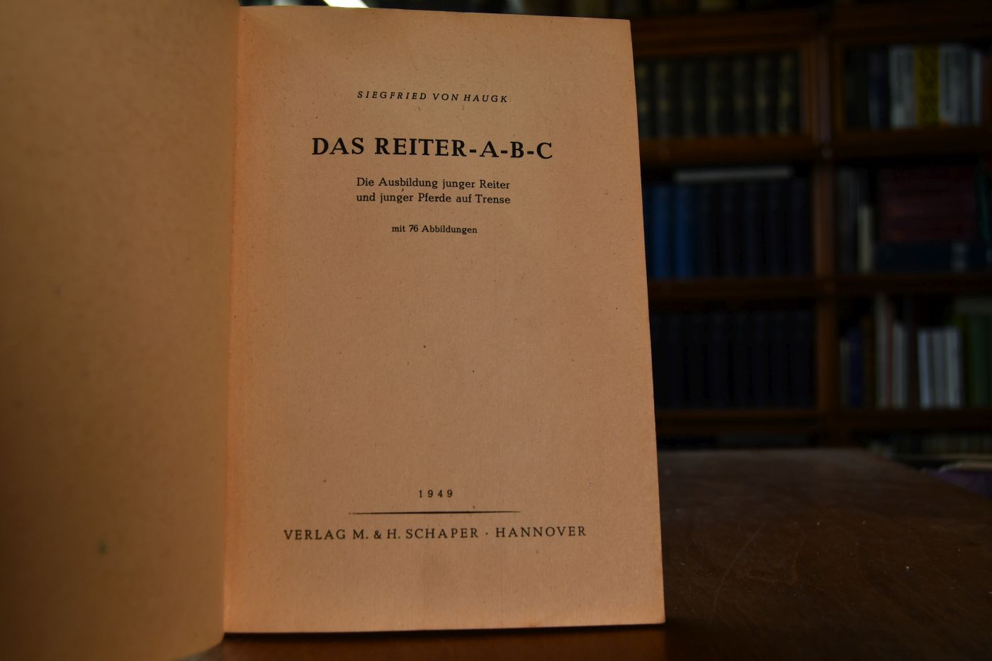 Das Reiter-A-B-C. Die Ausbildung junger Reiter und junger Pferde auf Trense.