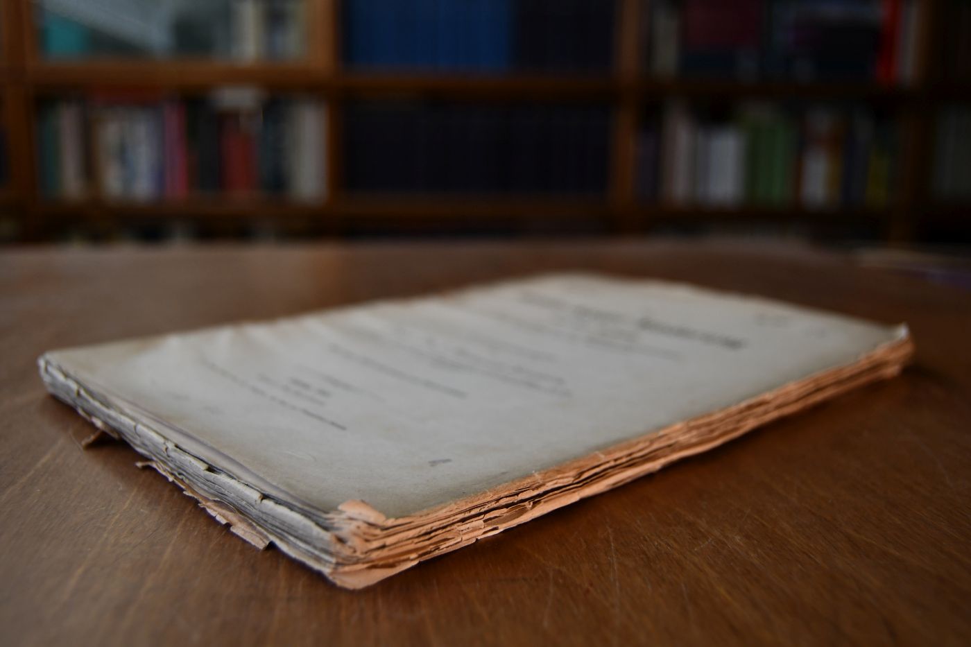 Die Arolo-Kaspi-Niederung und ihre Befunde im Lichte der Lehre von den säkularen Schwankungen des Seespiegels und der Wärmezonen.