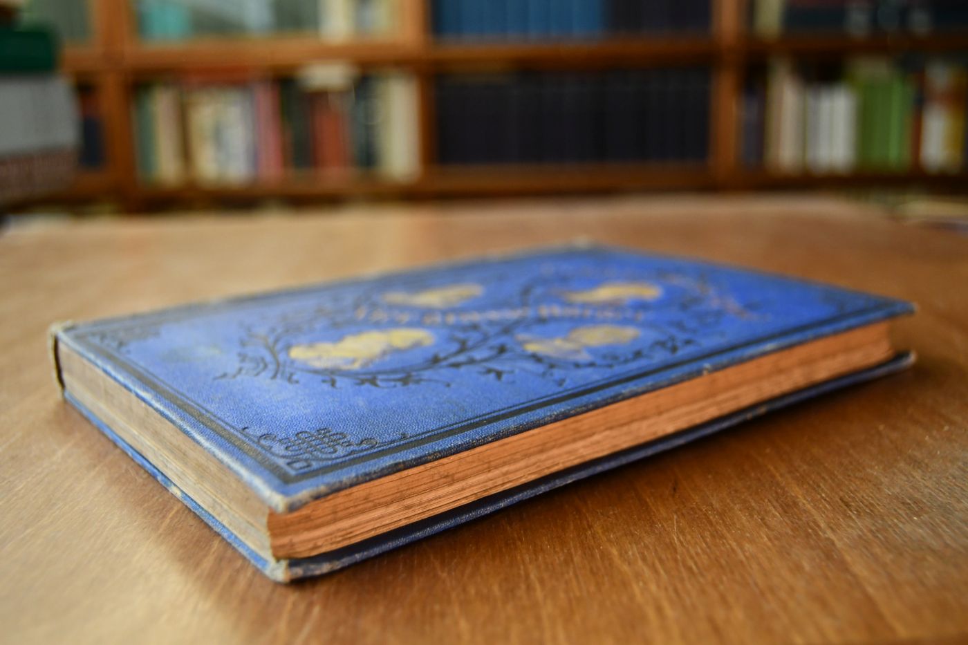 Zum 4. Juli 1876. Hundert Jahre in der Entwicklung der großen transatlantischen Republik. Vier große Bürger der neuen Welt George Washington und Benjamin Franklin, die Begründer der Unabhängigkeit und des Staatswesens der Nordamerikanischen Union; Friedrich Wilhelm v. Steuben, der Organisator ihrer Streitkräfte; Abraham Lincoln, der Wiederhersteller des Vereinigten Staaten-Bundes. Lebensläufe im Gewande der Geschichte, der Jugend und dem Volk erzählt.