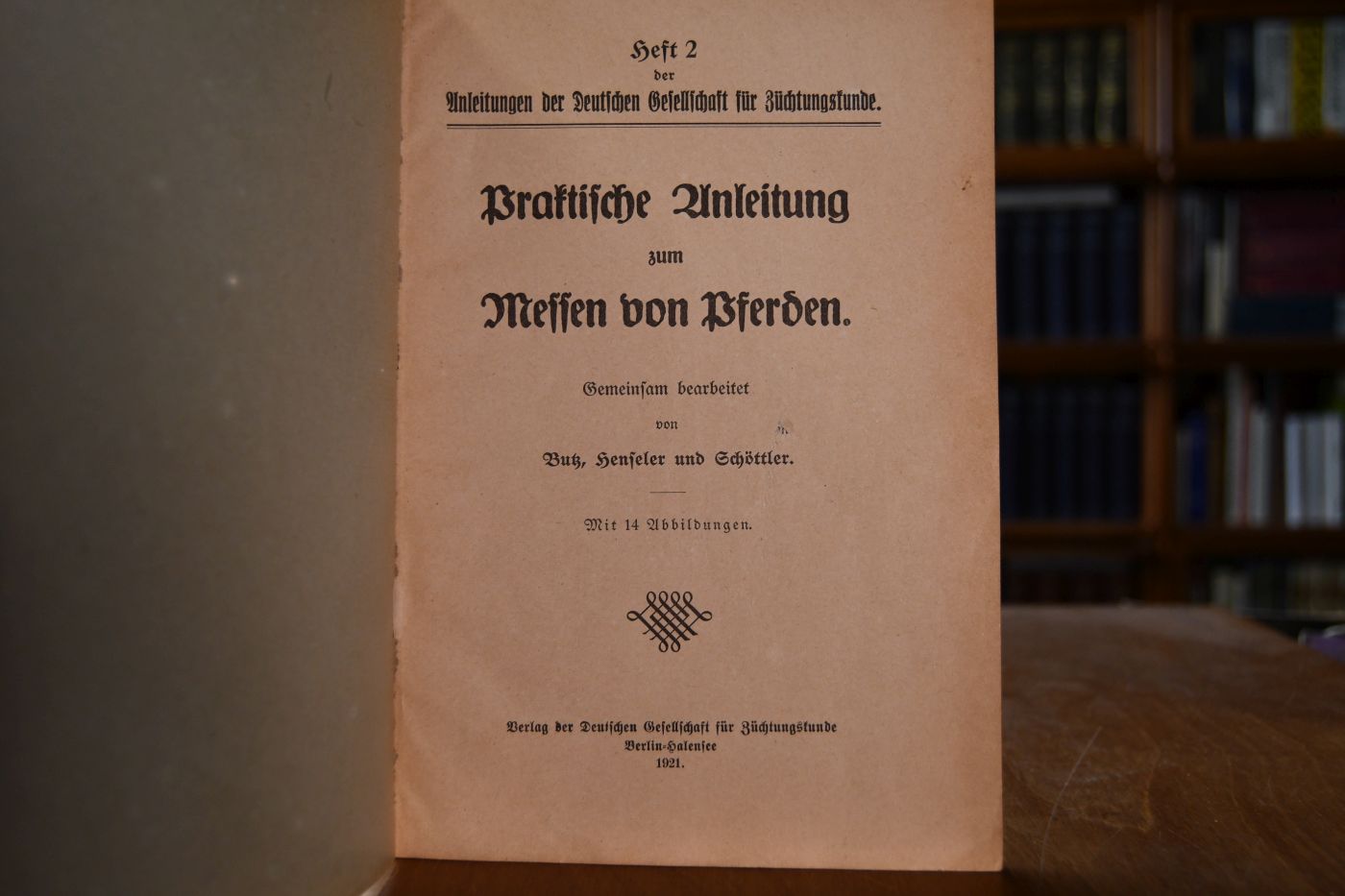 Praktische Anleitung zum Messen von Pferden.