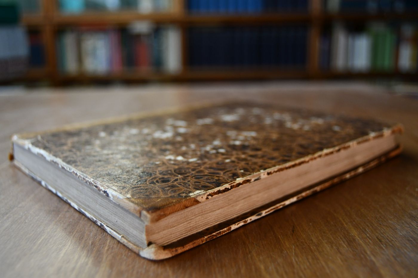 Eßlingisches Denck- und Danck-Mahl, Der Preißwürdigen Wunder- und überschwenglichen Wohlthaten, Welche der grundgütige Gott, In dem Höchst-nöthigen und Heilsamen Reformations-Werck, Durch den theuren Werck-Zeug Doctor Martin Luther, vor 200 Jahren angefangen und erwiesen; An der Evangelischen Kirchen Zweytem Jubilaeo, Auf Obrigkeitliche Verordnung den 31. Octobr. 1717. Dom. 13. Trin. Auß Exod. XIII, 3. aufgerichtet, Und mit einem doppelten Anhang einer Schul-Oration, und deß seeligen Lutheri Lebens-Lauff.