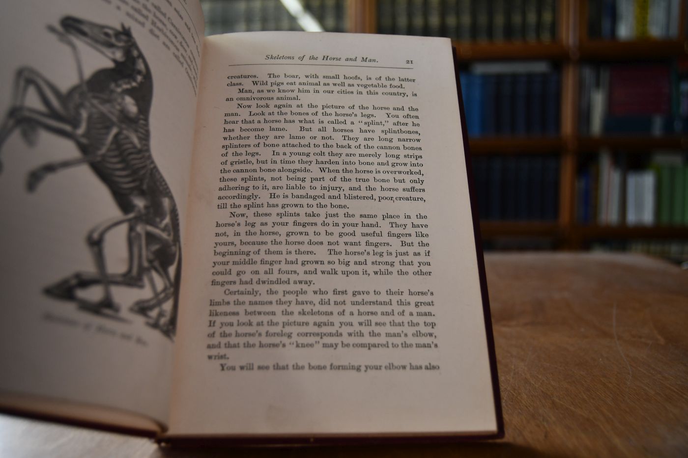 How to Manage a Horse or, Knowledge is Power.