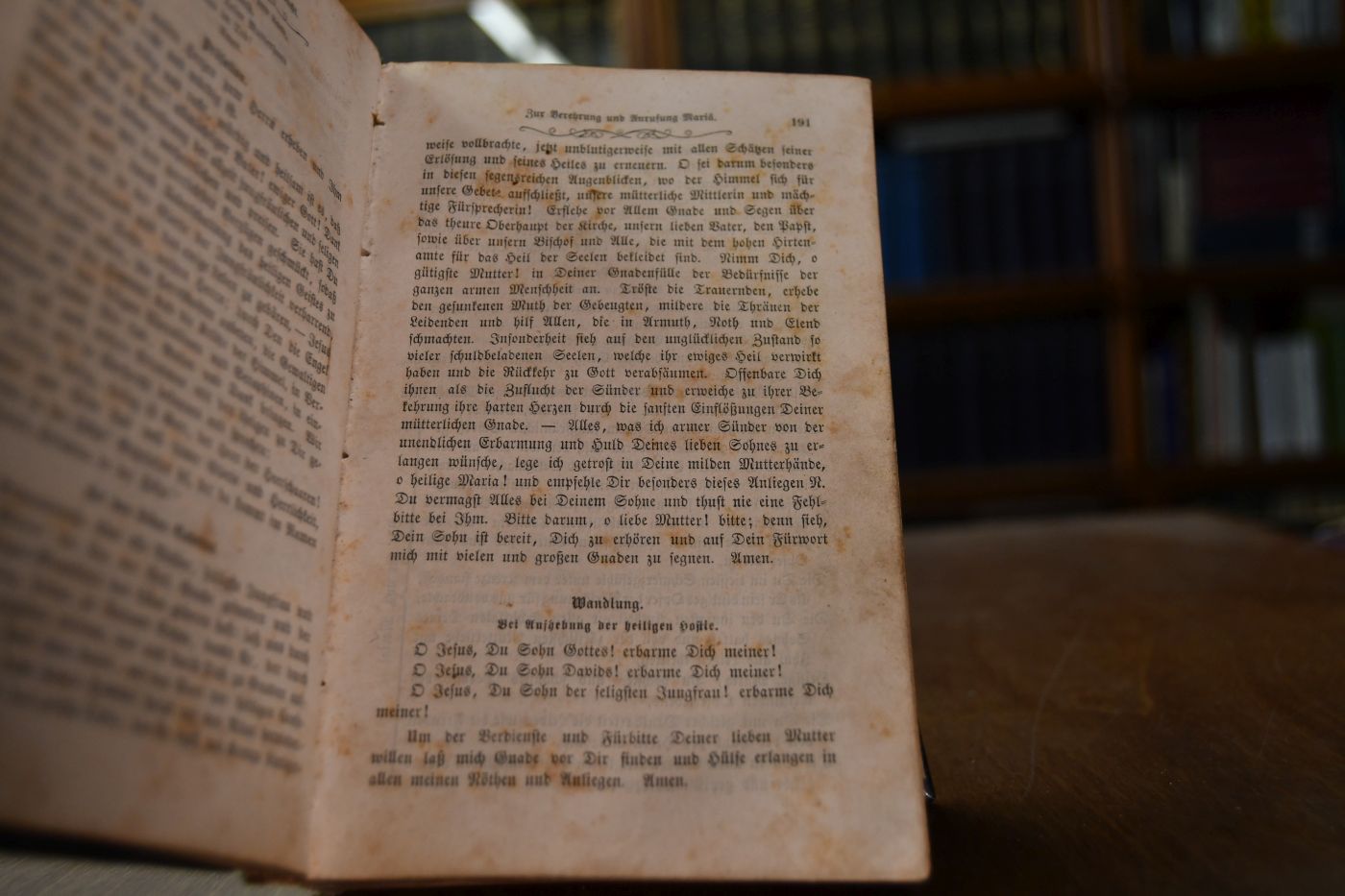 Muttergottesrosen. Vollständiges Gebet-, Trost- und Erbauungs-Buch, besonders zur eifrigen Verehrung und Anrufung der göttlichen Mutter.
