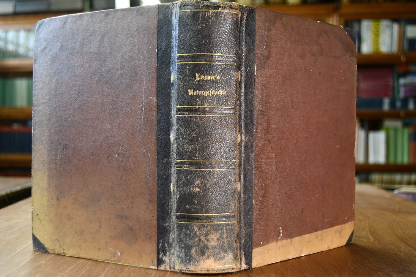 Populäre Naturgeschichte der drei Reiche mit besonderer Beziehung auf das practische Leben. Ein belehrendes Handbuch für Erwachsene und für die reifere Jugend.