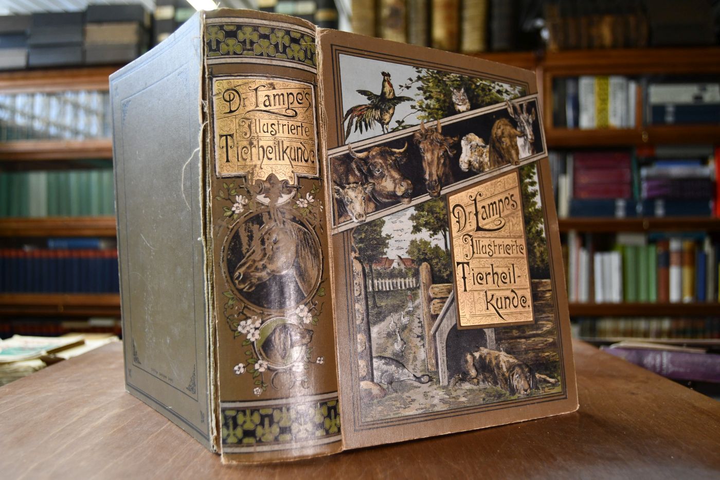 Dr. Lampe`s Illustrierte Tierheilkunde. Populäres Handbuch der Anatomie, Gesundheitspflege, Zucht, Geburtshilfe, des Hufbeschlages u.s.w. unserer Haustiere, ein ärztlicher Hausschatz für sämtliche Krankheiten derselben unter besonderer Berücksichtigung der Hausmittel und Homöopathie.