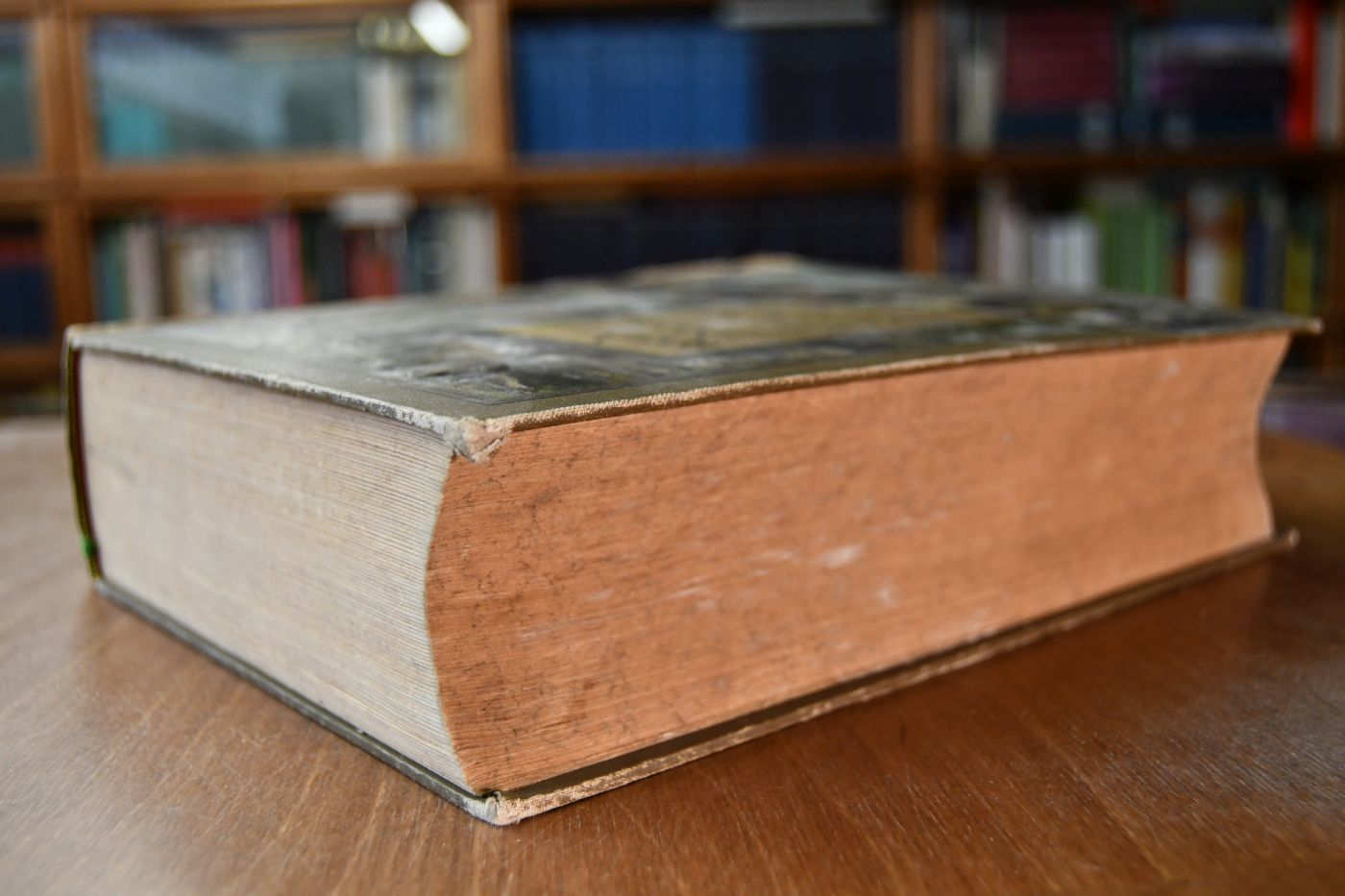 Dr. Lampe`s Illustrierte Tierheilkunde. Populäres Handbuch der Anatomie, Gesundheitspflege, Zucht, Geburtshilfe, des Hufbeschlages u.s.w. unserer Haustiere, ein ärztlicher Hausschatz für sämtliche Krankheiten derselben unter besonderer Berücksichtigung der Hausmittel und Homöopathie.