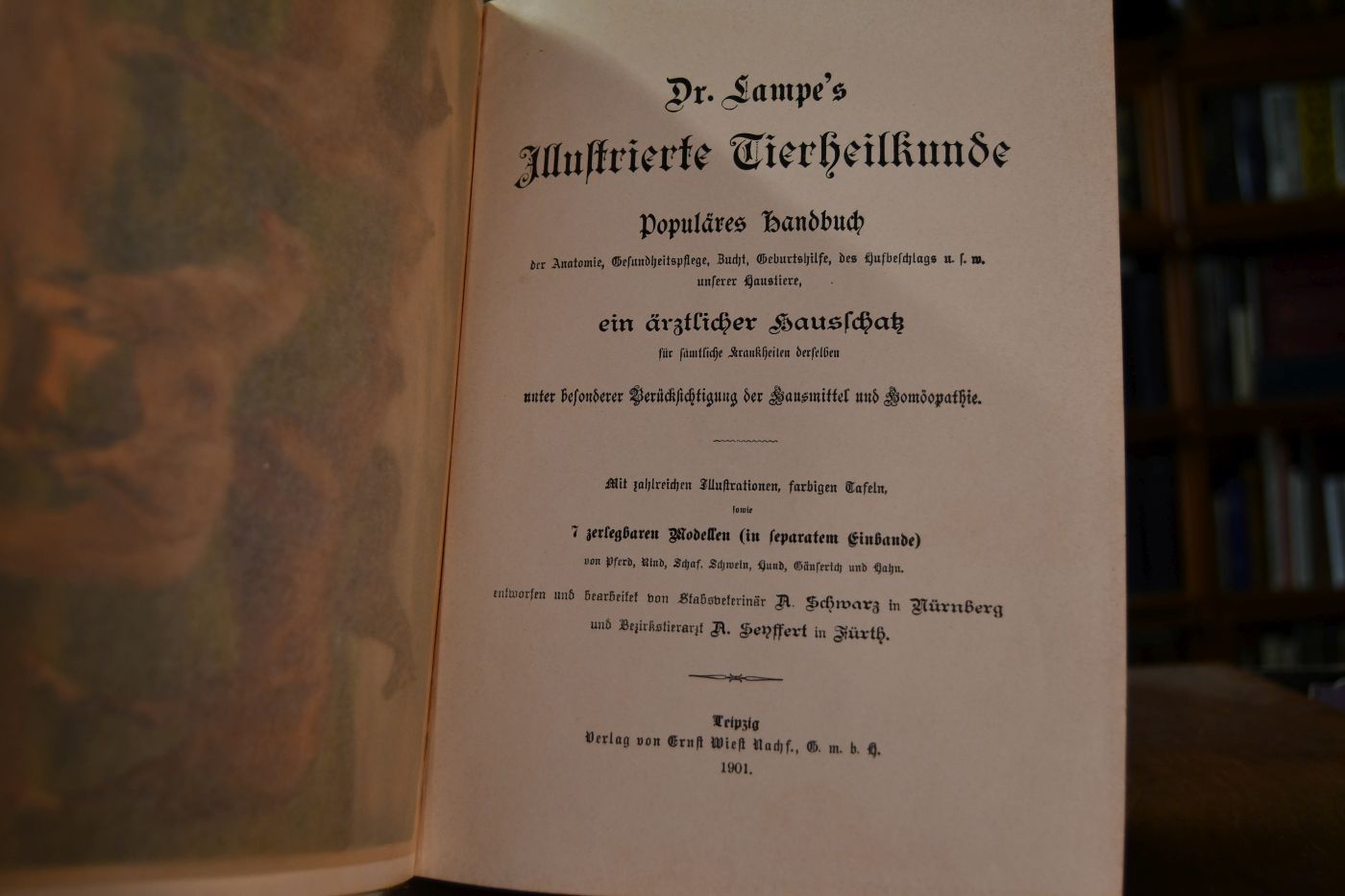 Dr. Lampe`s Illustrierte Tierheilkunde. Populäres Handbuch der Anatomie, Gesundheitspflege, Zucht, Geburtshilfe, des Hufbeschlages u.s.w. unserer Haustiere, ein ärztlicher Hausschatz für sämtliche Krankheiten derselben unter besonderer Berücksichtigung der Hausmittel und Homöopathie.