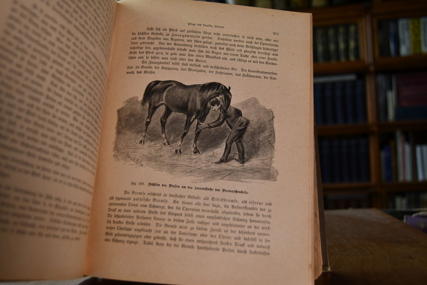Dr. Lampe`s Illustrierte Tierheilkunde. Populäres Handbuch der Anatomie, Gesundheitspflege, Zucht, Geburtshilfe, des Hufbeschlages u.s.w. unserer Haustiere, ein ärztlicher Hausschatz für sämtliche Krankheiten derselben unter besonderer Berücksichtigung der Hausmittel und Homöopathie.