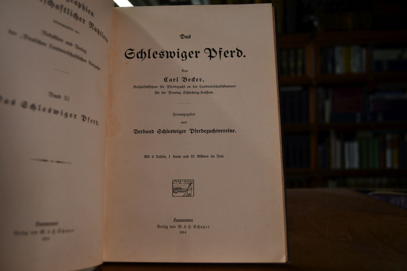 Das Schleswiger Pferd.