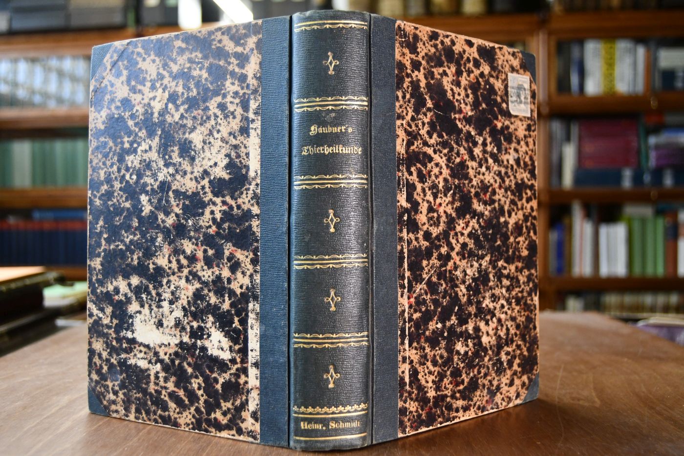 Die inneren und äußeren Krankheiten der landwirthschaftlichen Haussäugethiere. Ein Lehrbuch für Vorlesungen und zum Selbstunterricht für angehende Thierärzte und Landwirthe.