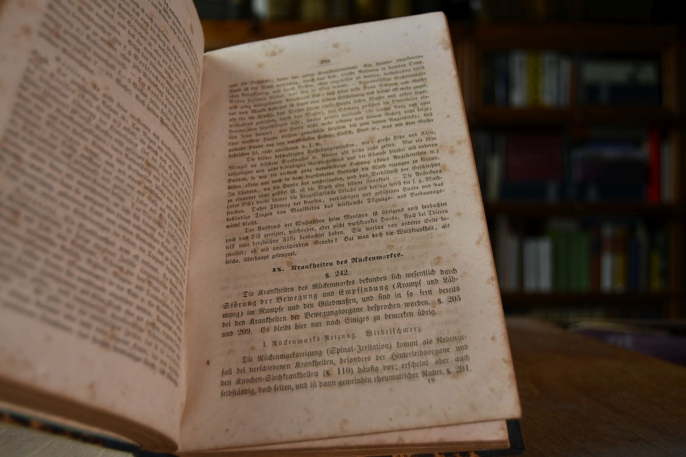Die inneren und äußeren Krankheiten der landwirthschaftlichen Haussäugethiere. Ein Lehrbuch für Vorlesungen und zum Selbstunterricht für angehende Thierärzte und Landwirthe.