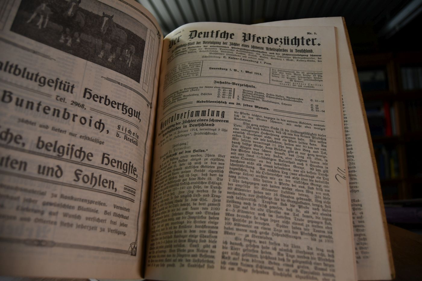 Der Deutsche Pferdezüchter. Korrespondenz-Blatt der Vereinigung der Züchter eines schweren Arbeitspferdes in Deutschland. Amtliches Organ des Verbandes der unterbadischen Pferdezuchtgenossenschaften und der Züchtervereinigung schwerer Pferde in Ostpreußen. Jahrgänge 6 + 7 (1913, 1914).