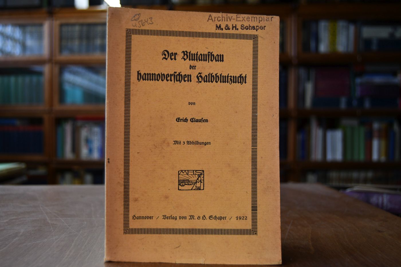 Der Blutaufbau der hannoverschen Halbblutzucht.