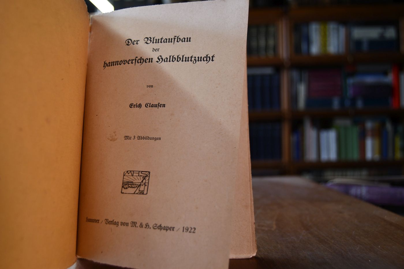 Der Blutaufbau der hannoverschen Halbblutzucht.