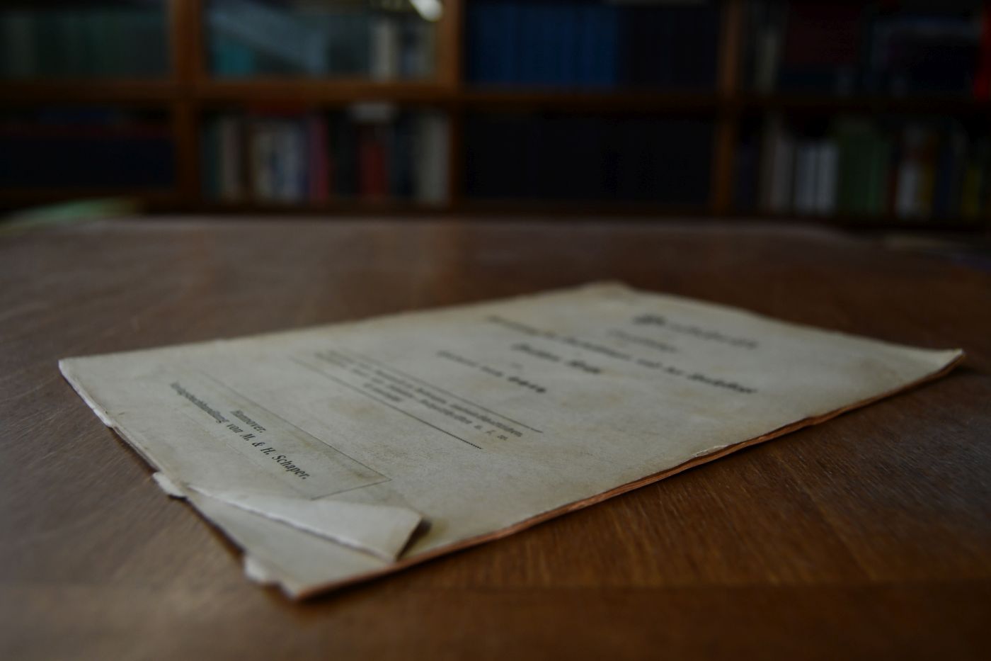 Denkschrift und Vorschläge zur Verbesserung des Hufbeschlages und der Hufpflege im Deutschen Reiche.