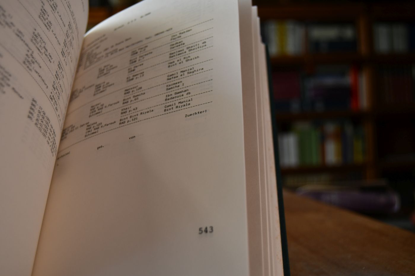 Deutsches Stutbuch für Arabische Vollblüter (DSbV) Teil II.