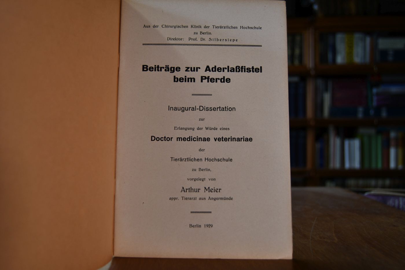 Beiträge zur Aderlaßfistel beim Pferde