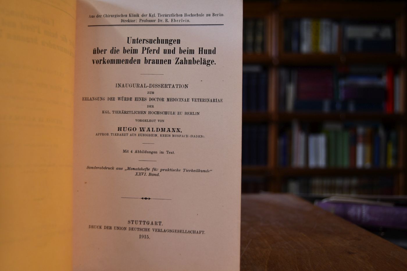 Untersuchungen über die beim Pferd und beim Hund vorkommenden braunen Zahnbeläge.