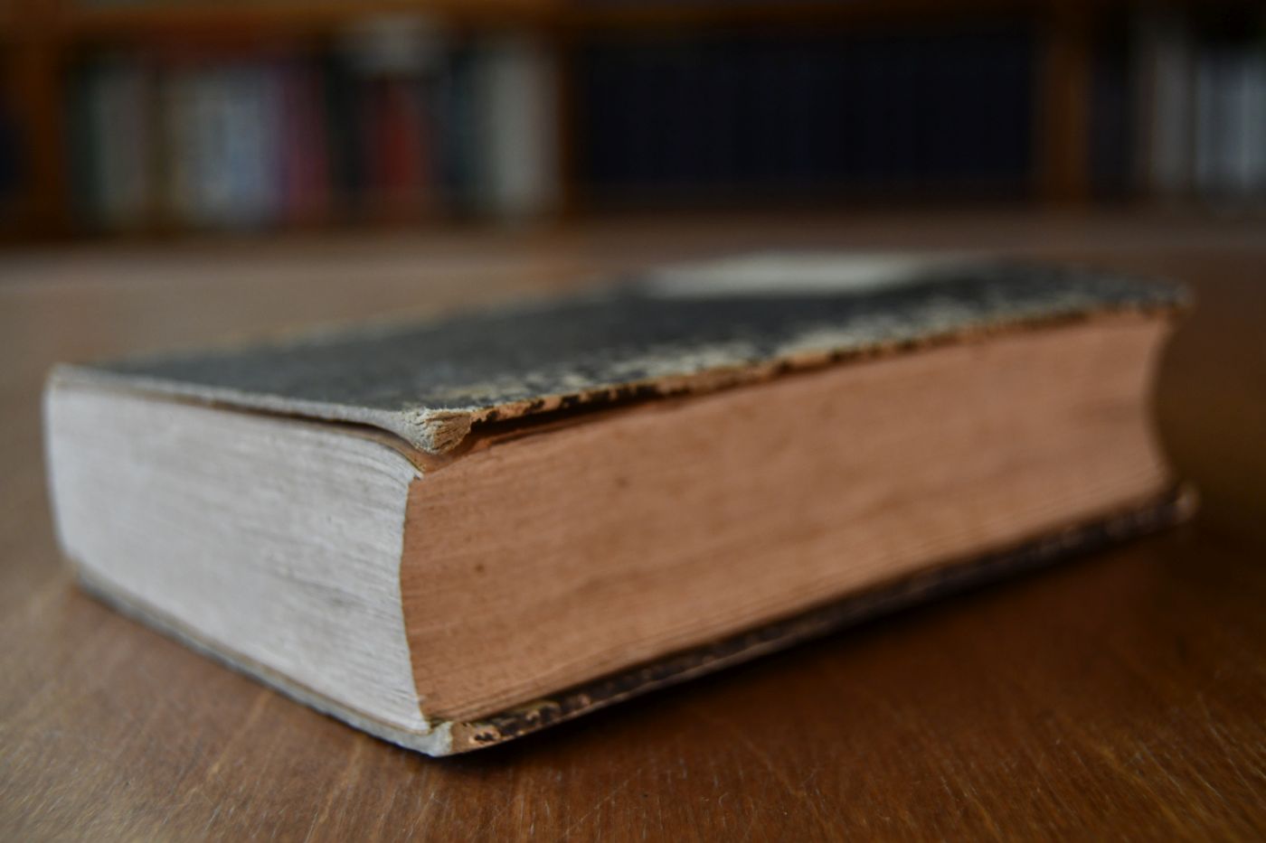 Jahrbuch für Pferdezucht, Pferdekenntniß, Pferdehandel, die militärische Campagne-, Schul- und Kunstreiterei und die Roßarzneikunst in Deutschland und den angrenzenden Ländern auf das Jahr 1831, 8. Jahrgang.