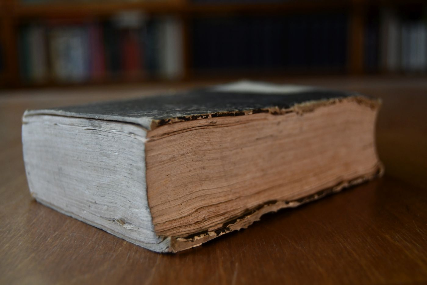 Jahrbuch für Pferdezucht, Pferdekenntniß, Pferdehandel, die militärische Campagne-, Schul- und Kunstreiterei und die Roßarzneikunst in Deutschland und den angrenzenden Ländern auf das Jahr 1833, 9. Jahrgang.