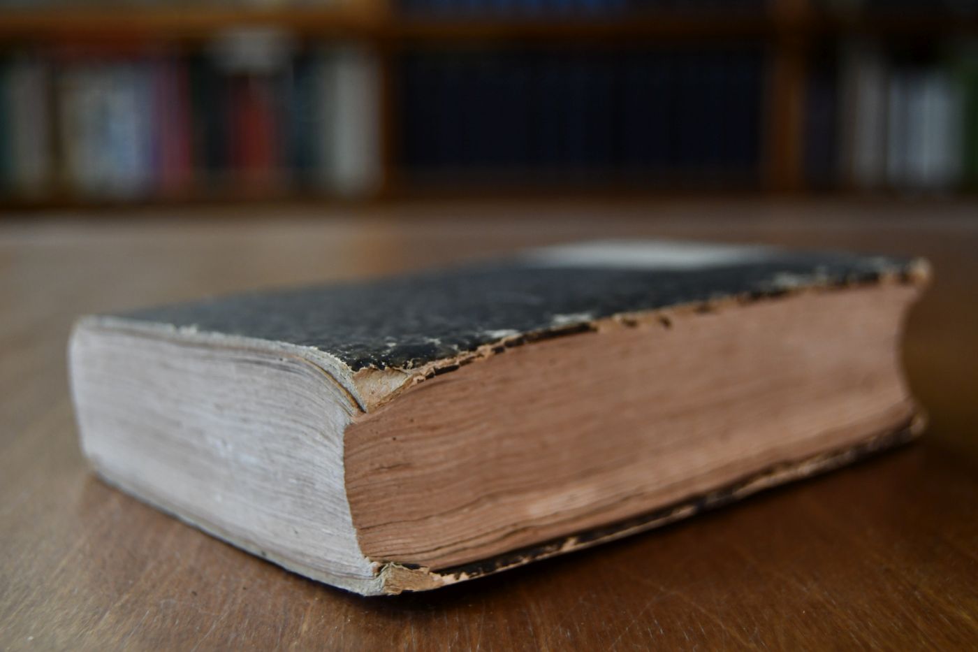 Jahrbuch für Pferdezucht, Pferdekenntniß, Pferdehandel, die militärische Campagne-, Schul- und Kunstreiterei und die Roßarzneikunst in Deutschland und den angrenzenden Ländern auf das Jahr 1836, 12. Jahrgang.