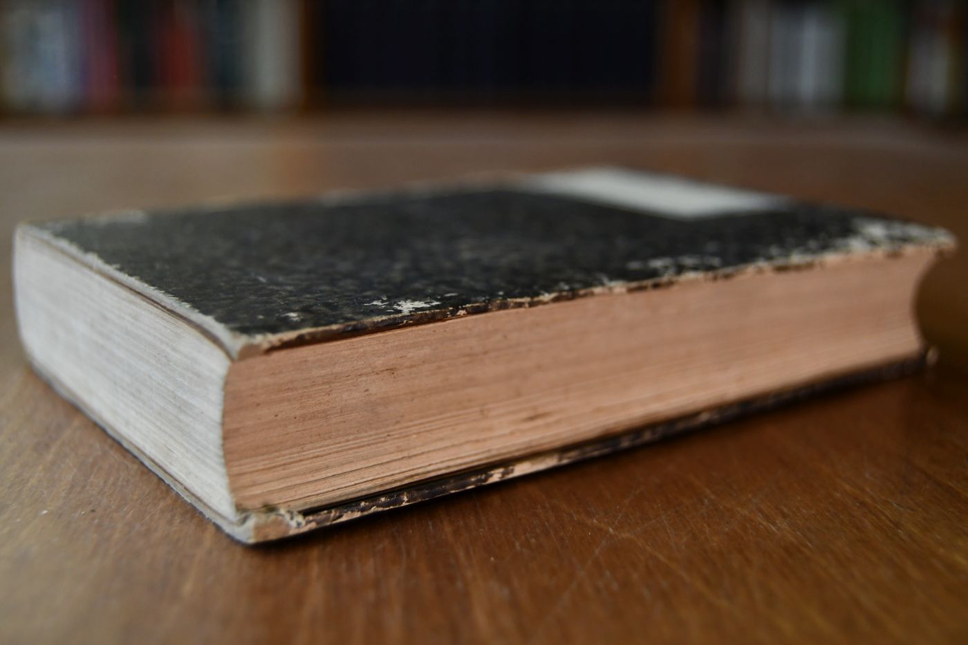 Jahrbuch für Pferdezucht, Pferdekenntniß, Pferdehandel, Pferdedressur und Roßarzneikunst auf das Jahr 1848, 24. Jahrgang.