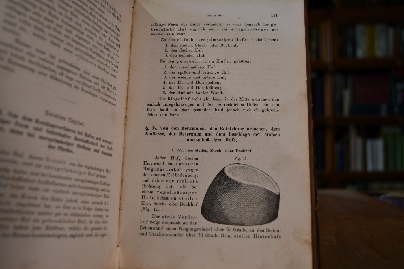 Lehrbuch des Huf- und Klauen-Beschlages.