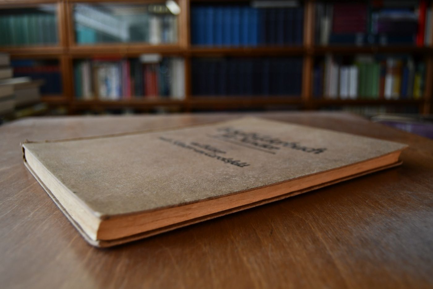 Bibelbilderbuch für Kinder. 100 Bilder nach Schnorr von Carolsfeld. Ausgabe A.
