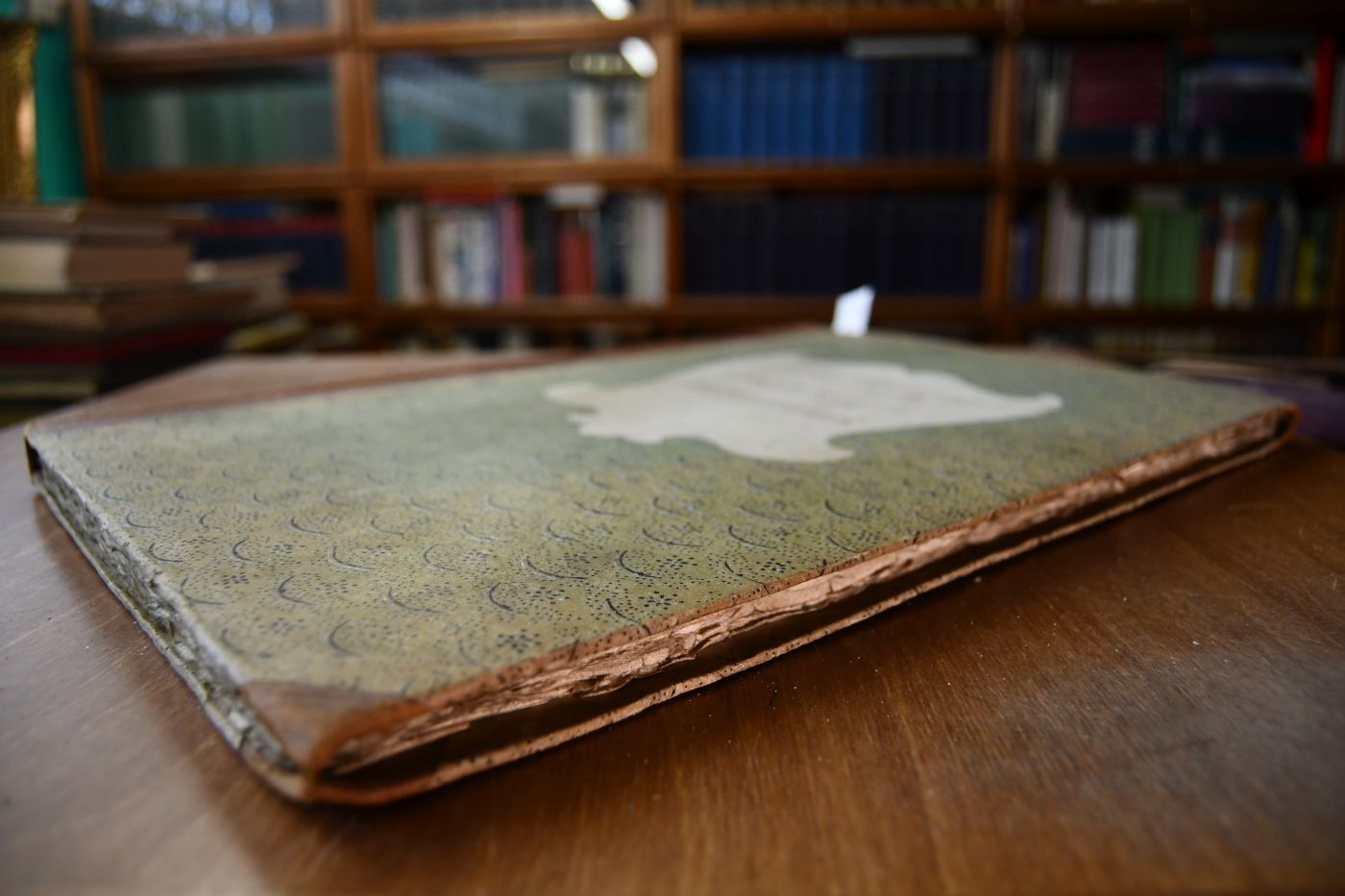 Rechnung über die Einnahmen und Ausgaben des Spitals und Leprosiorums zu Meßkirch für das Jahr vom 1. Juni 1838 bis 10. Jenner 1839, an welchem Tage die Verwaltung von dem bisherigen Verrechner an den neuen Verwalter übertragen wurde. Und ein zweiter Band, der vom 22. Januar bis zm 31. Mai 1839 reicht.