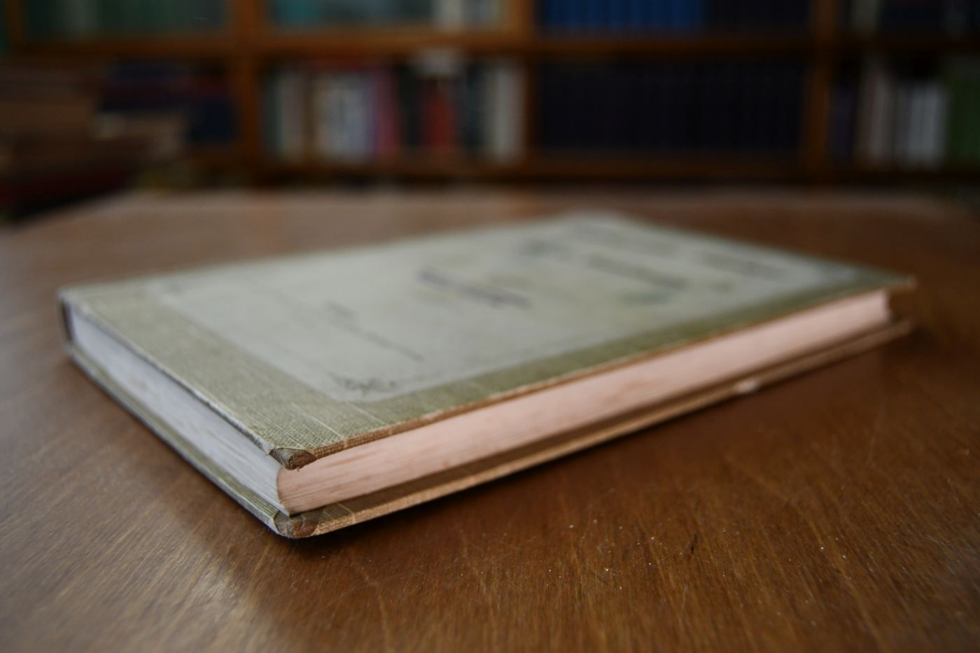 Kirchengeschichte Schwabens bis zur Zeit der Hohenstaufen.