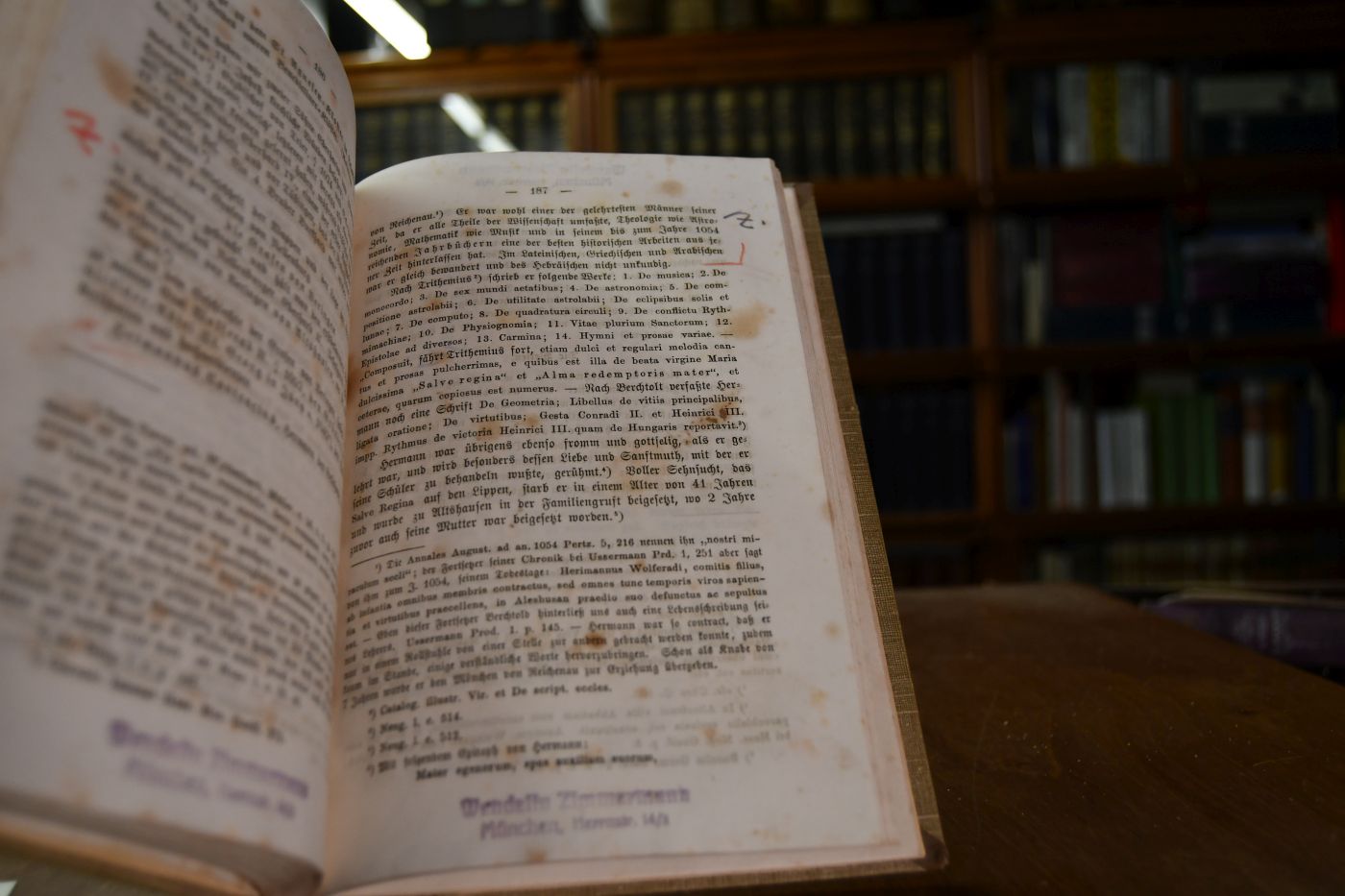 Kirchengeschichte Schwabens bis zur Zeit der Hohenstaufen.
