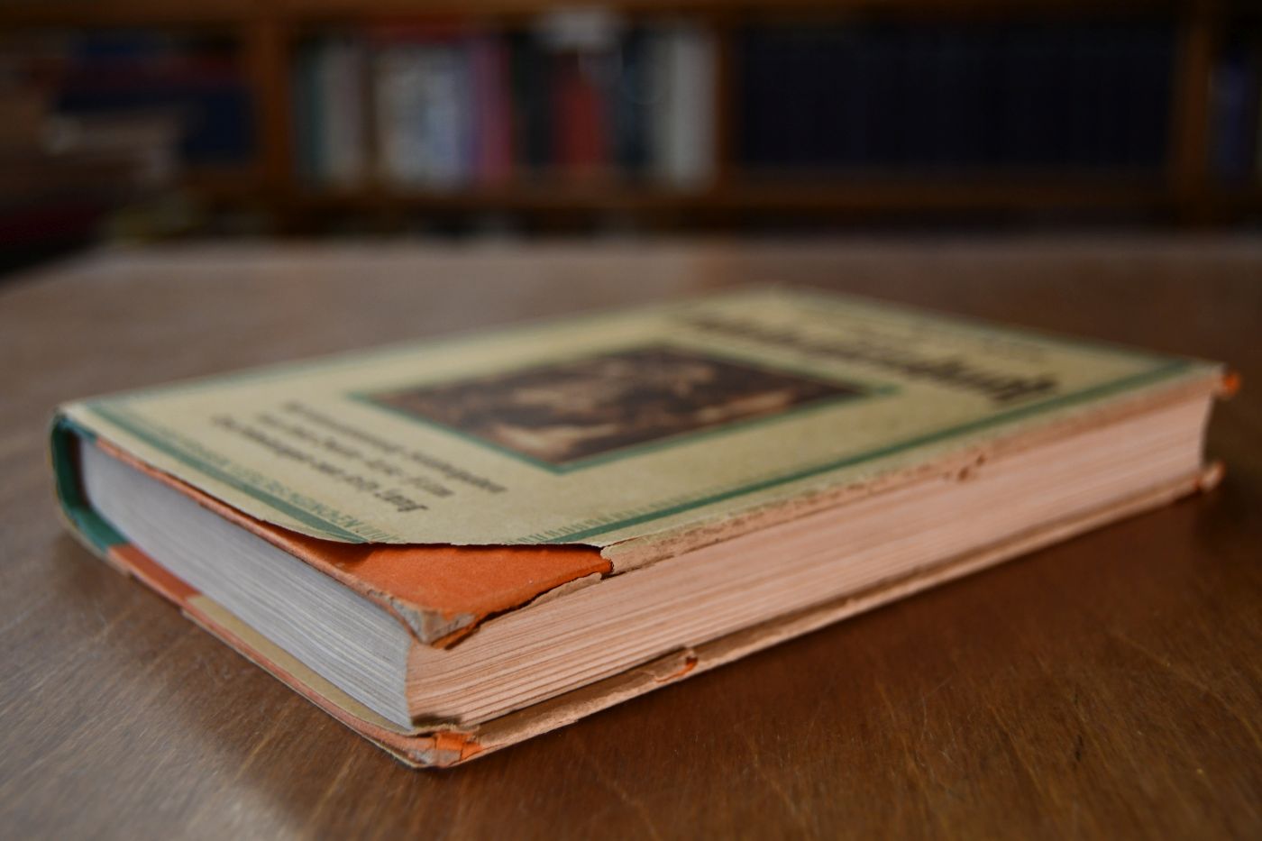 Das Nibelungenbuch