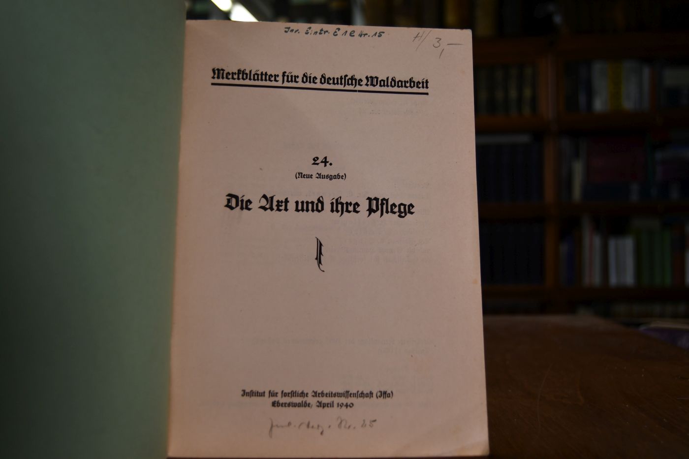 Die Axt und ihre Pflege.