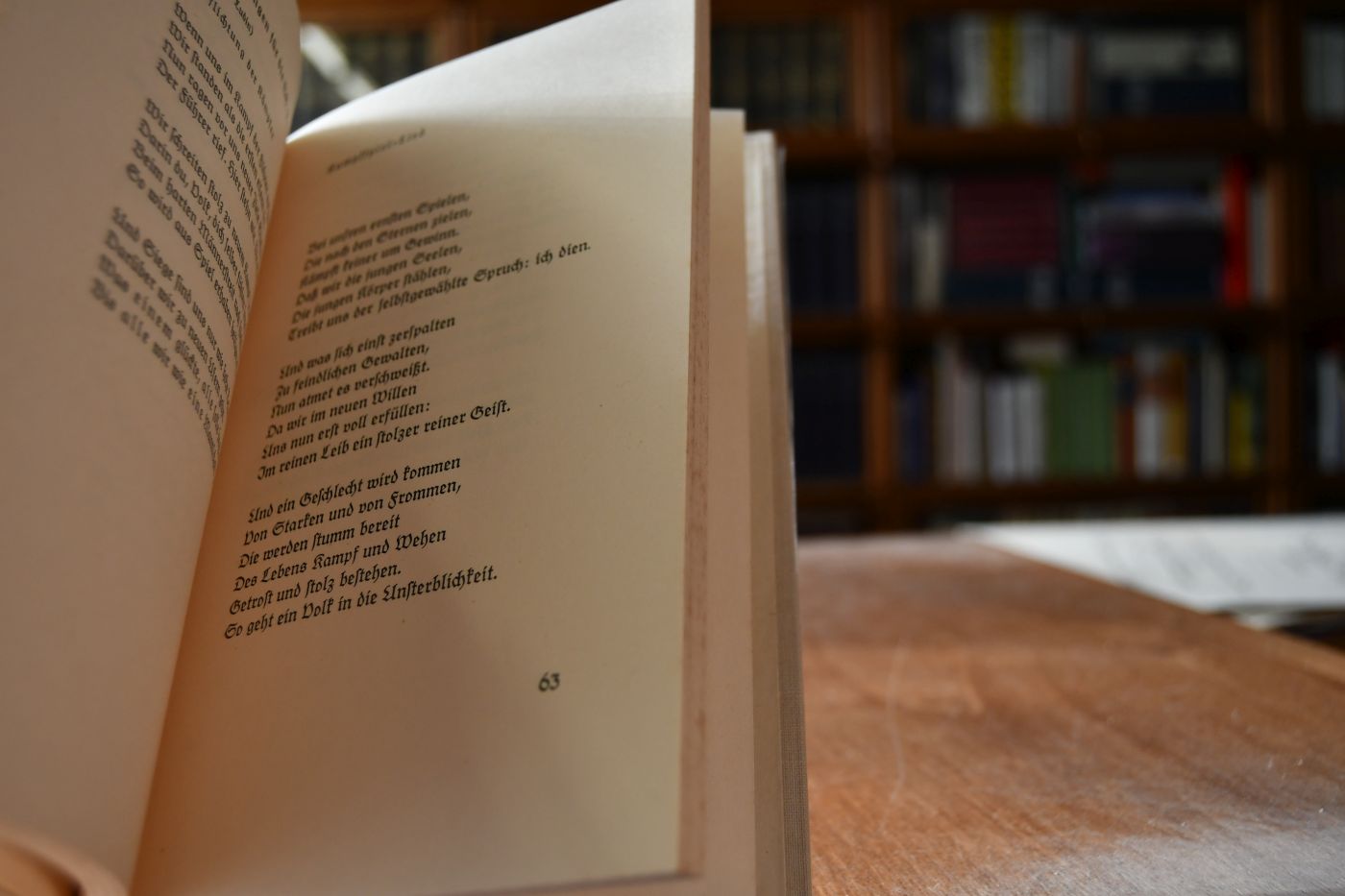 Schau und Tat. Gedichte.