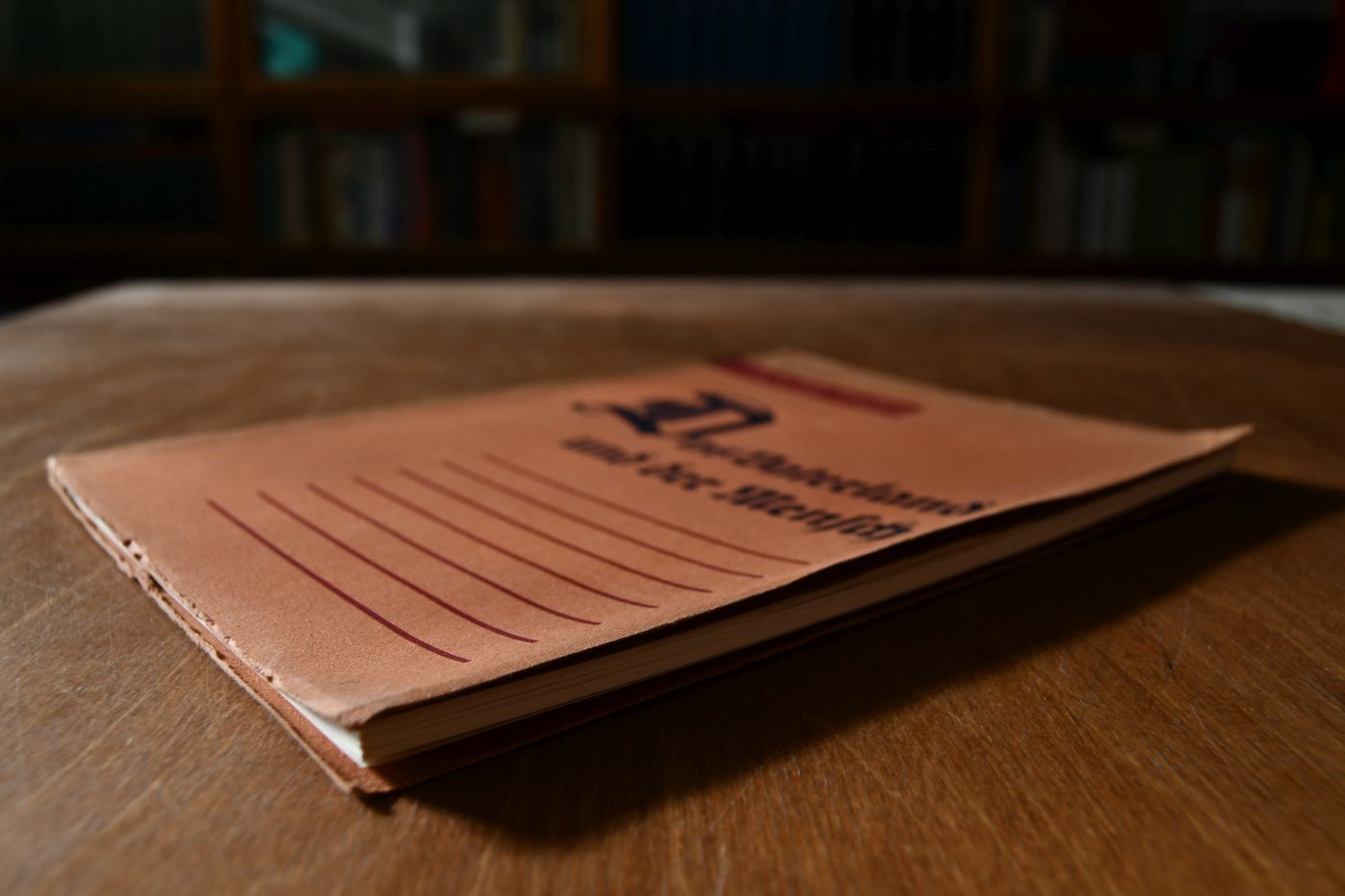 Das Vaterland und der Mensch.