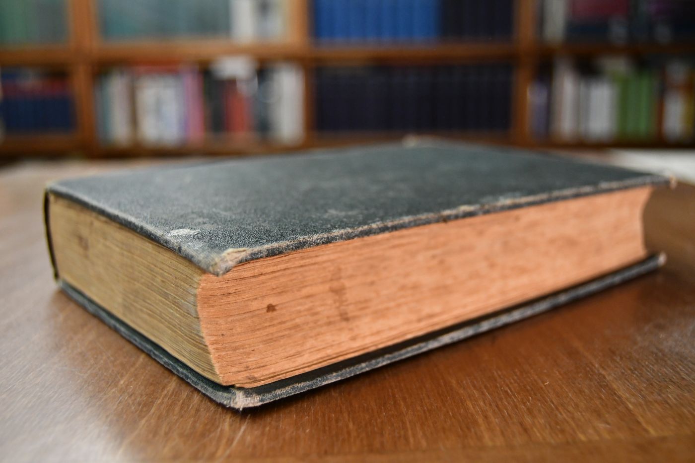 Im Zeichen der Jakobinermütze. Erinnerungen aus dem Tornister eines Soldaten der Revolutionsarmee.