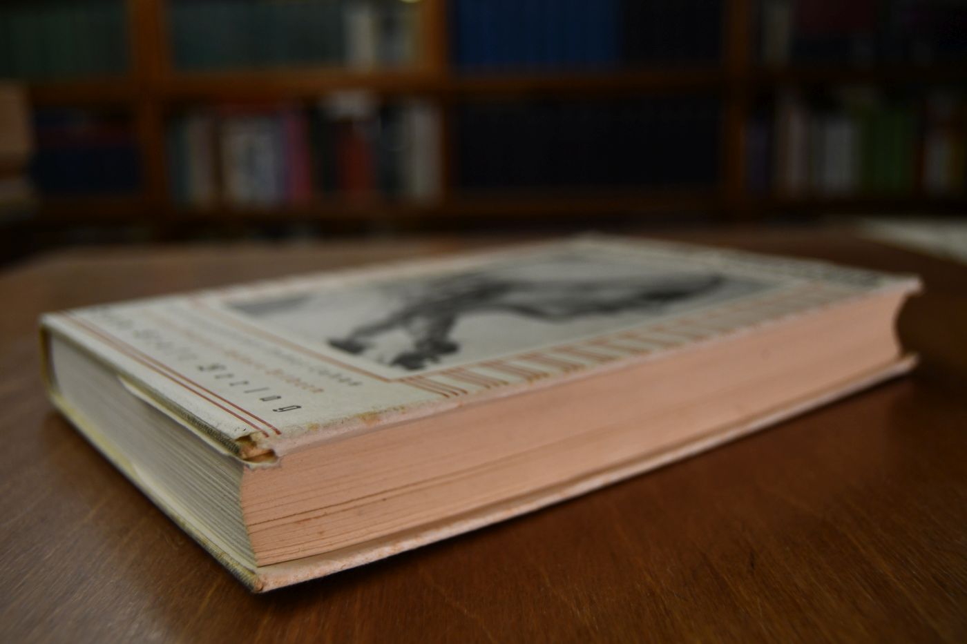 Das deutsche Frauenbuch. Ein Buch für Werktag und Feierabend.