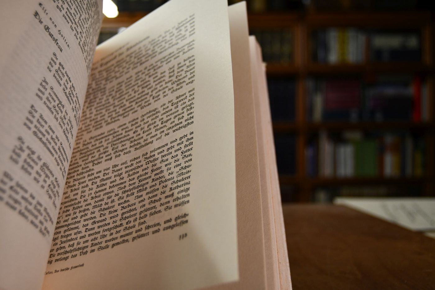 Das deutsche Frauenbuch. Ein Buch für Werktag und Feierabend.