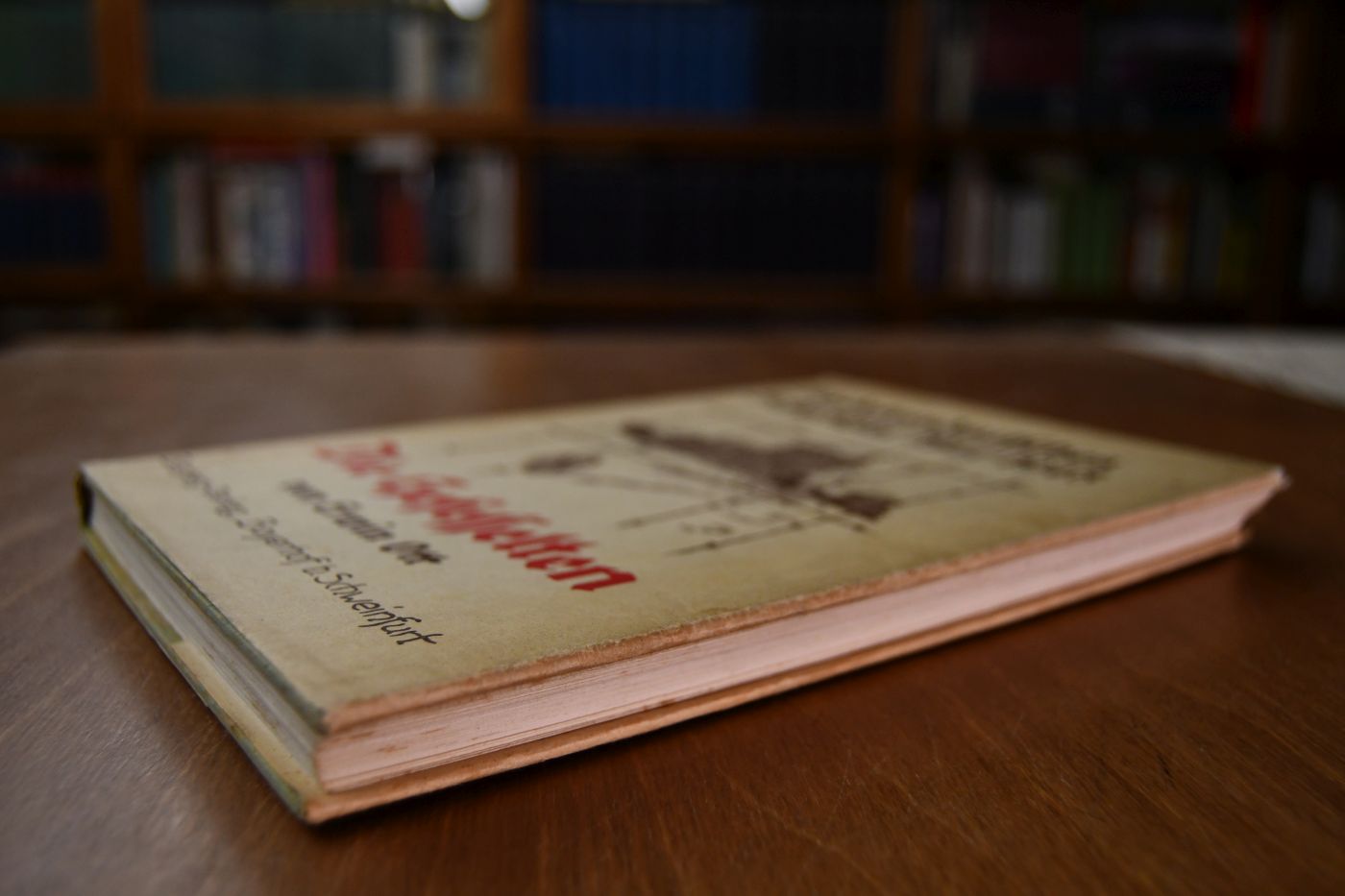 Die Gefesselten. Sudetendeutsches Schicksal 1944/1948.