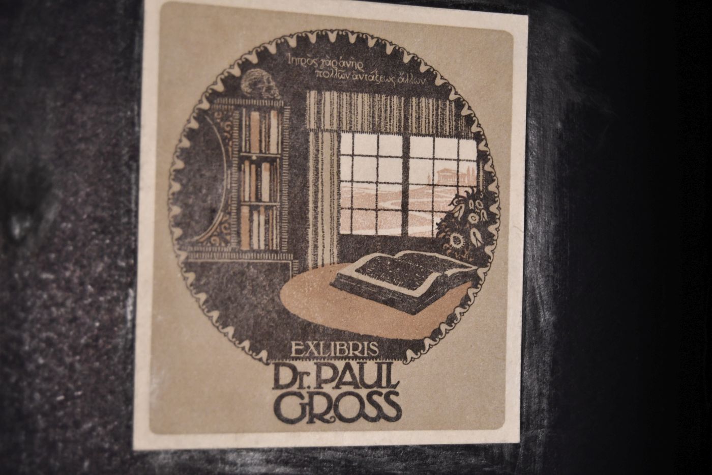 Der Weltkrieg. Deutsche Träume. Roman.