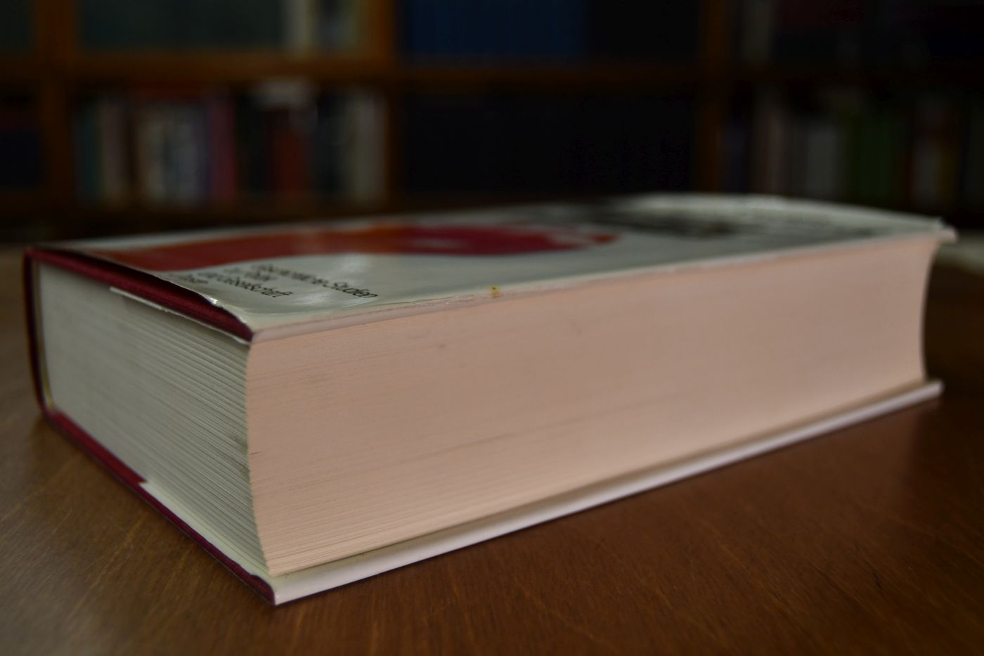 Die Kampfzeit der KPD 1921 - 1923.