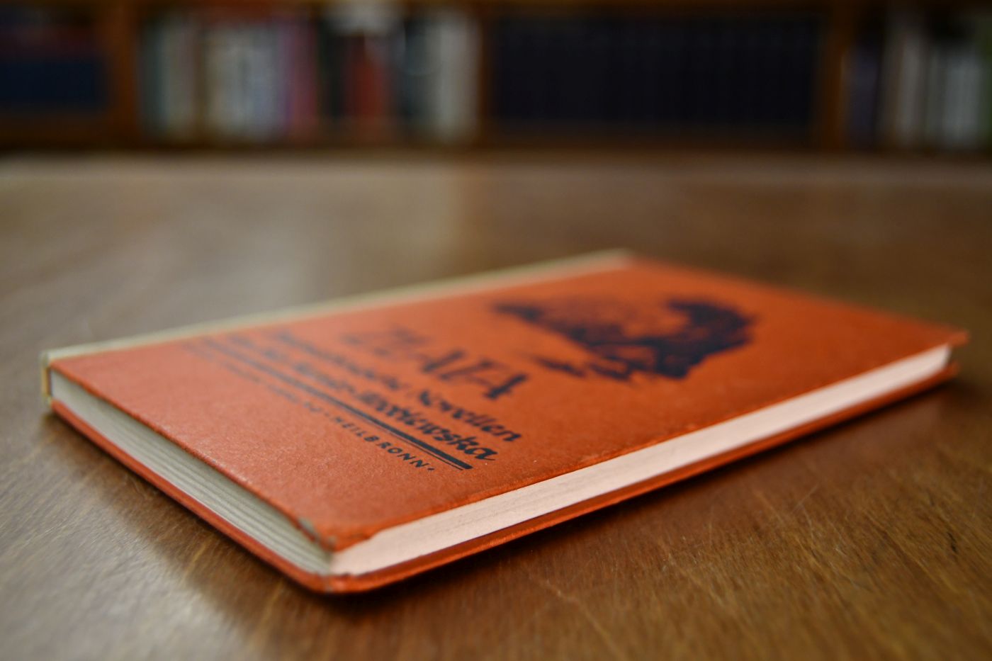 Zlata. Dalmatinische Novellen.