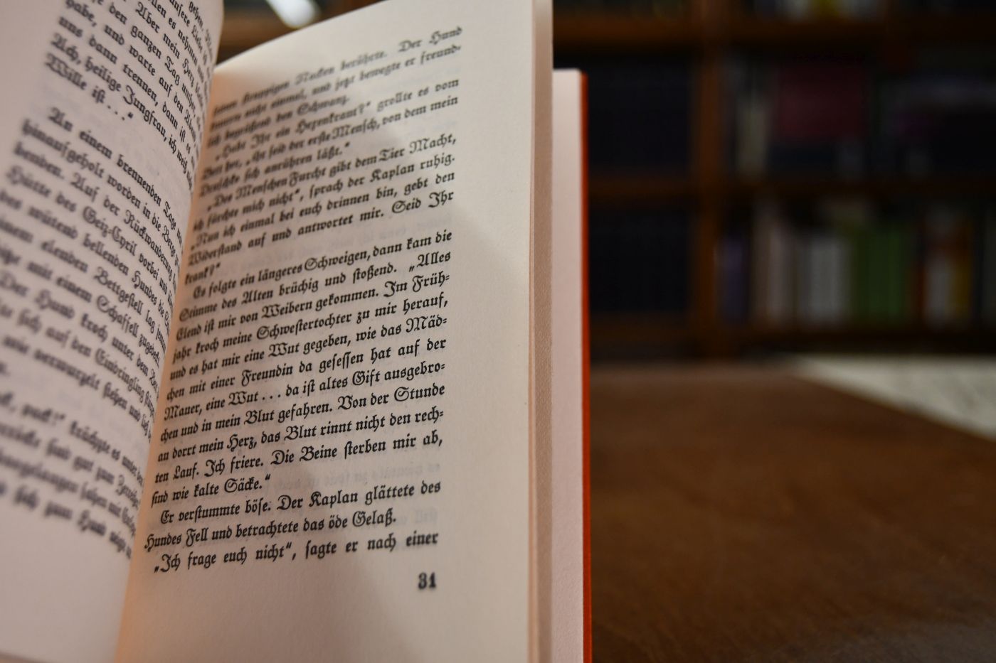 Zlata. Dalmatinische Novellen.