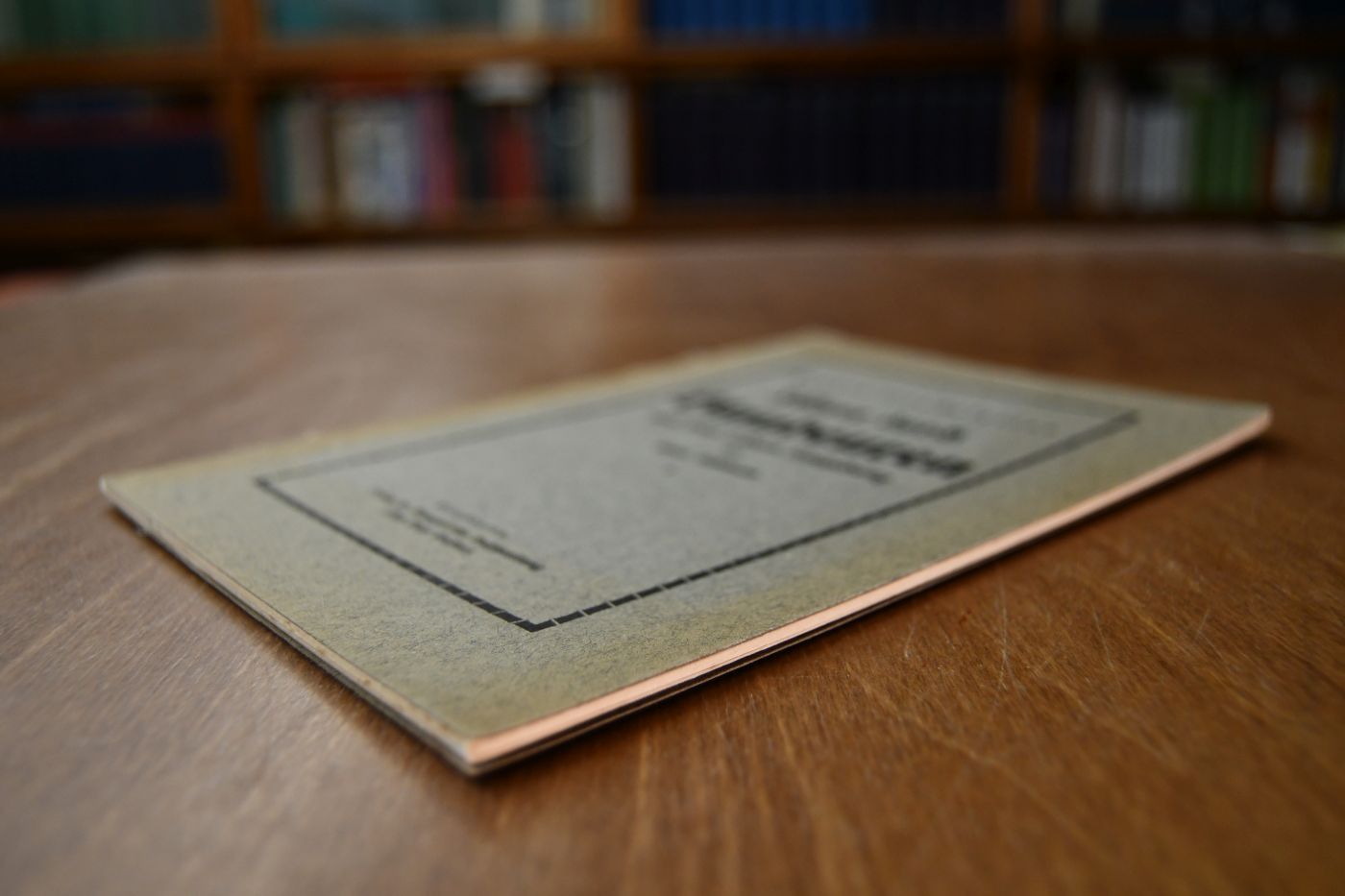 Kurzer illustrierter Führer durch Blaubeuren und seine nähere Umgebung.