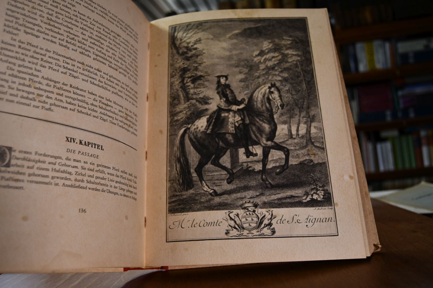 Das Monument des Pferdes. Monumenta Hippika. Zweite Hippographie Das Grosse Reiterbuch-Archiv. Die Meisterwerke der Hippologischen Weltliteratur. Band 27 Ecole de Cavalerie. Schule der Reitkunst.
